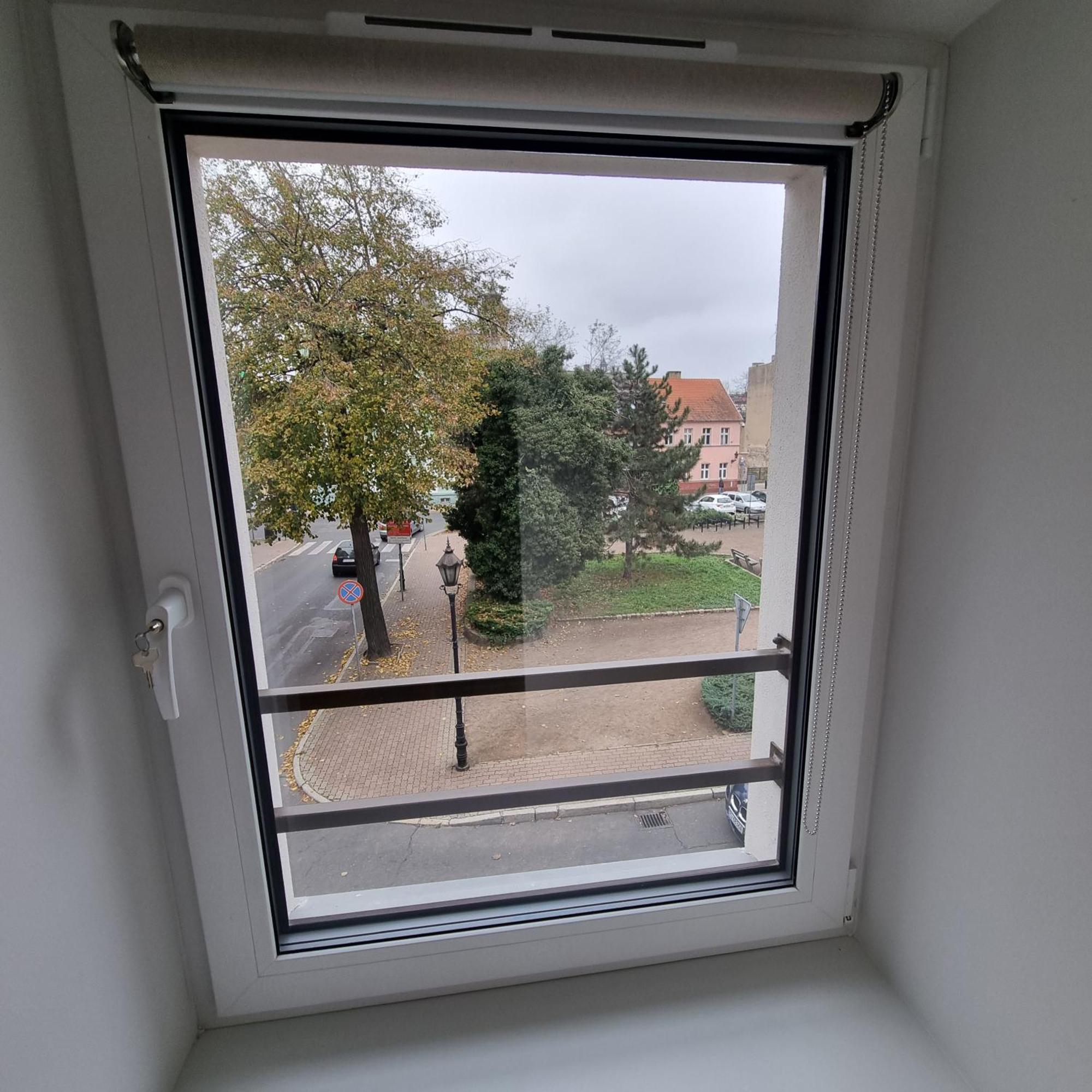 Apartament Centrum 5 Lešno Exteriér fotografie